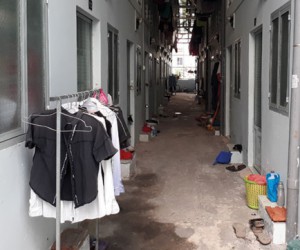 Đổ xô săn đất nền để xây nhà trọ cho thuê